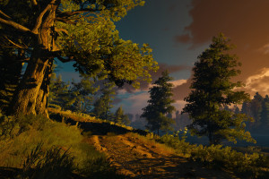 独家揭秘！女星深夜密会神秘球员，2026世界杯又添新恋情