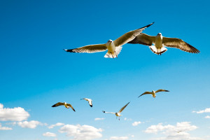 DOTA2震中杯阵容公布，顶级豪门齐聚，冠军归属成谜