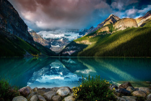 惊艳！积分榜新星闪耀，未来之星已然升起！