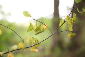 告别与新生！苏超告别老将，迎接希望之星