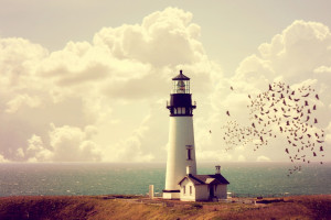 黑马搅乱FIFA电竞冠军榜格局,谁能坚持到最后 黑马搅乱FIFA电竞冠军榜格局,谁能坚持到最后