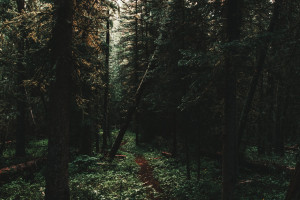 电竞与传统体育融合,跨界合作擦出火花,影响力持续扩大! 电竞与传统体育融合,跨界合作擦出火花,影响力持续扩大!