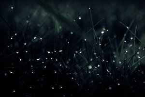 告别惊魂时刻!最新赛车安全标准出台,为速度保驾护航! 告别惊魂时刻!最新赛车安全标准出台,为速度保驾护航!